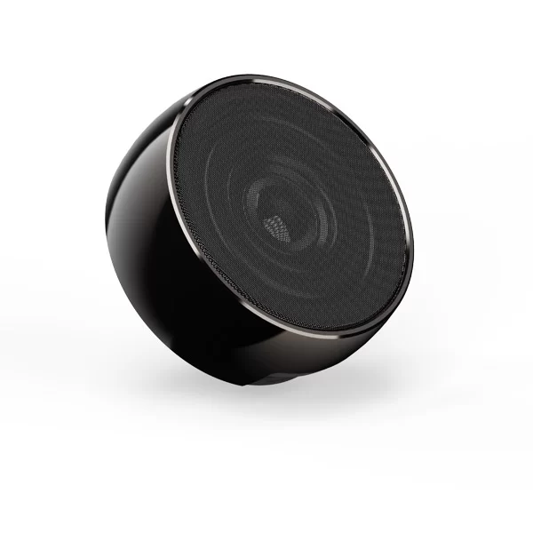 SPK-80 SPEAKER