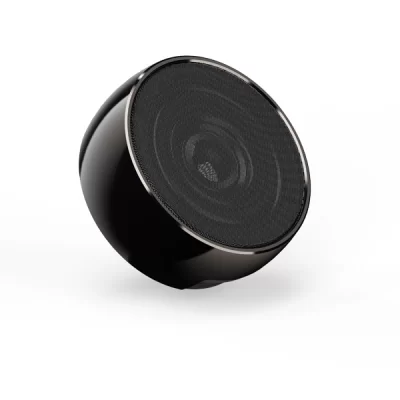 SPK-80 SPEAKER